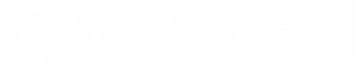 Besser Visser AB logotyp
