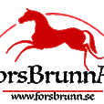 Fors Brunns Konsult AB logotyp
