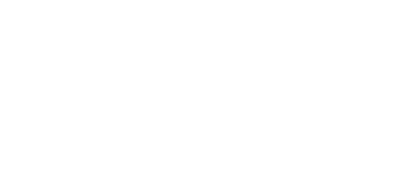 Nääs Industrisvets Aktiebolag NISAB logotyp