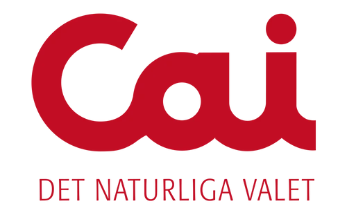 Anna Inganäs AB logotyp
