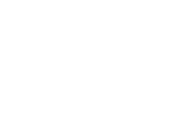 Cecilia S. Nöje AB logotyp