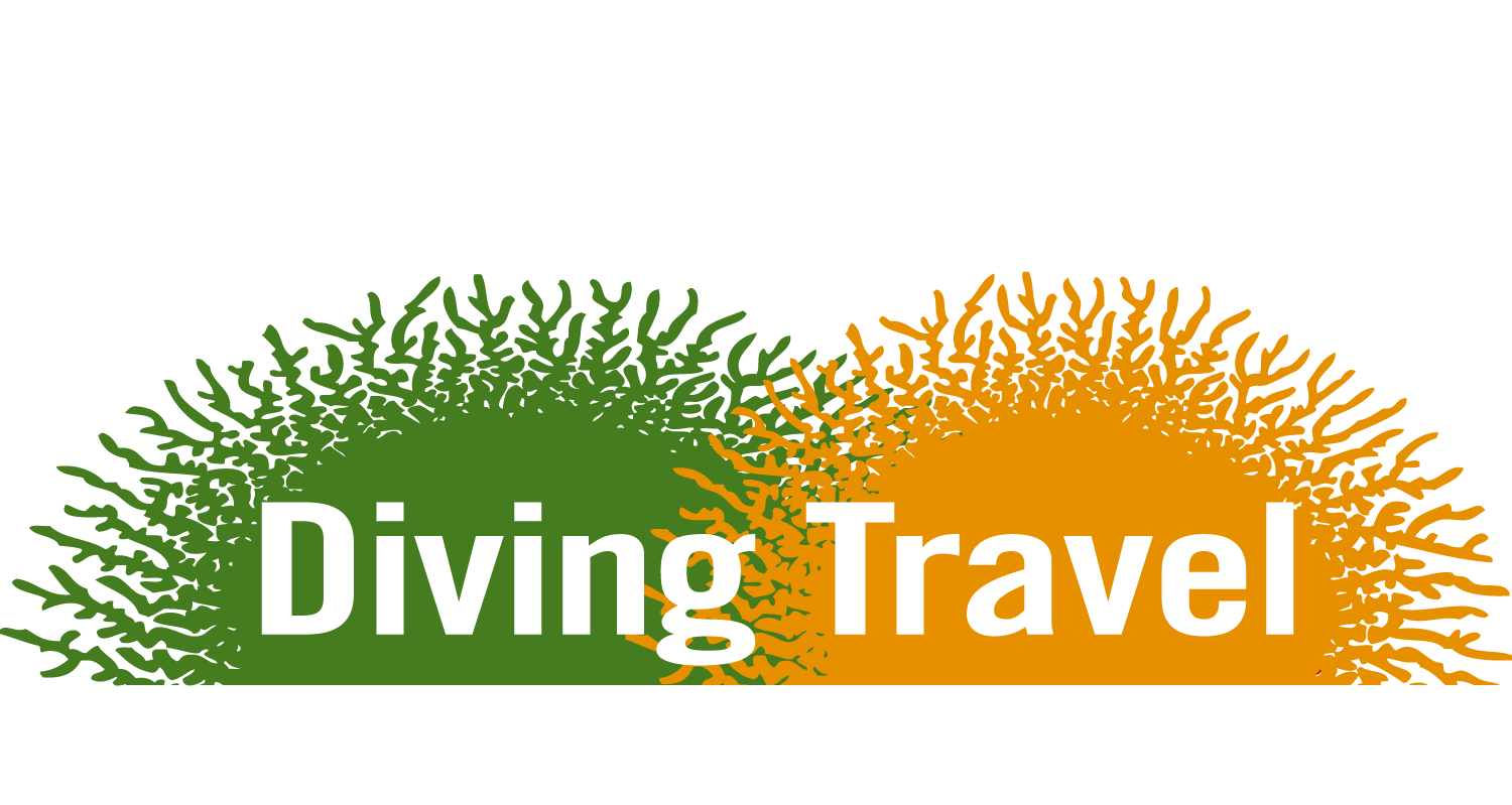 Diving Travel Network i Luleå AB logotyp