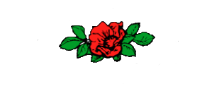 Nilssons Plantskola AB logotyp