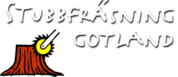 Bildstenen AB logotyp