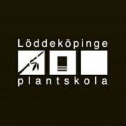 Löddeköpinge Plantskola AB logotyp