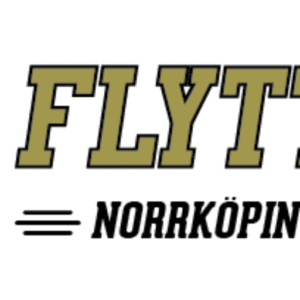 Flyttmar Norrköpings Express AB logotyp