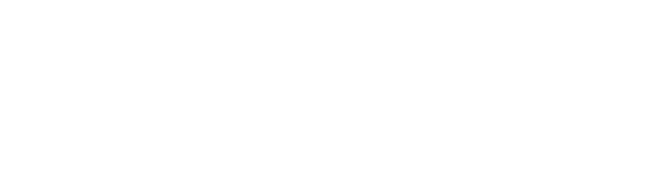 Nordiska Yogainstitutet Viryayoga AB logotyp