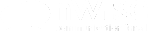 nWise AB logotyp