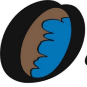Orbadens camping AB logotyp