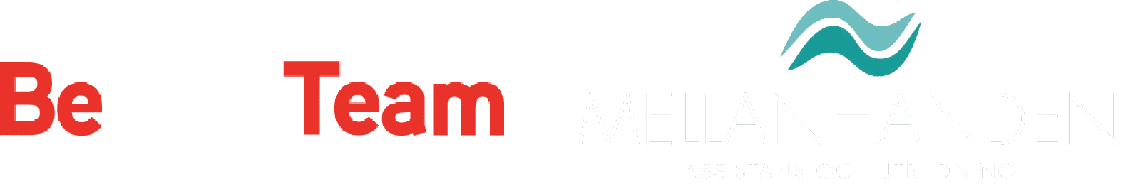BeOneTeam Personlig Assistans AB logotyp