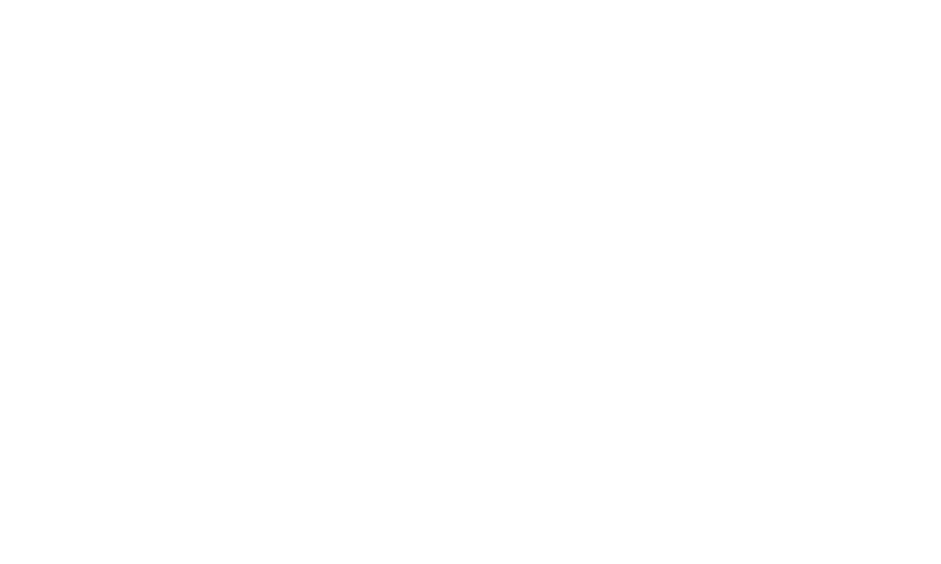 Vicis AB logotyp