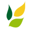 Cima Maskin AB logotyp