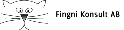 FINGNI Konsult AB logotyp