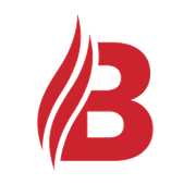BVS Brannvernsystemer AB logotyp