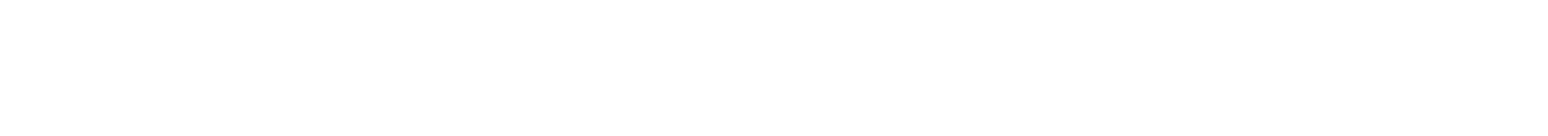 Stockholm/Sweden Web Solutions AB logotyp