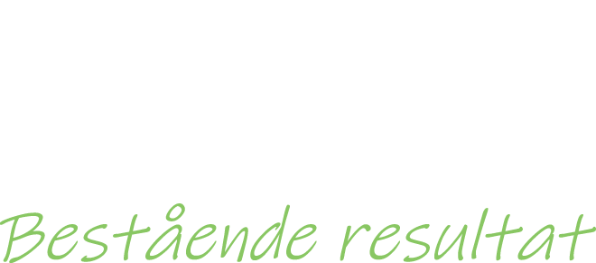 Rindi Projektkonsult AB logotyp