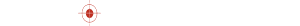 p linderborn action partner AB logotyp