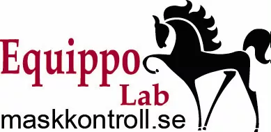 Equippo lab - maskkontroll AB logotyp