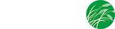 Norotec AB logotyp