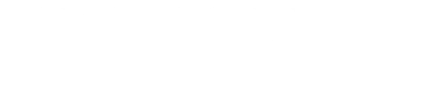 SKANDINAVISK ELINSTALLATION AB logotyp