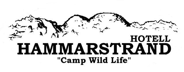 Vätte i Hammarstrand AB logotyp
