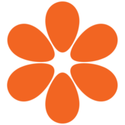 Optimal Service Väst AB logotyp