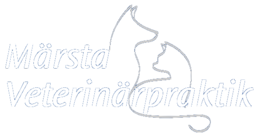 Jan Frendin Veterinärpraktik AB logotyp