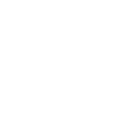 GNS Sweden AB logotyp