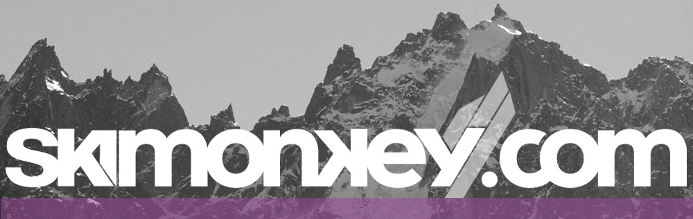 Skimonkey Aktiebolag logotyp