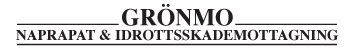 GRÖNMO NAPRAPAT & IDROTTSKADEMOTTAGNING AB logotyp