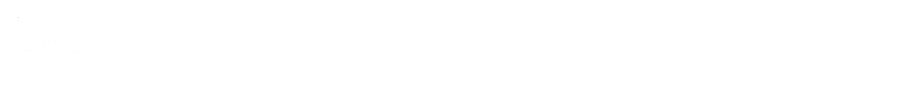 Strawberry Audit AB logotyp