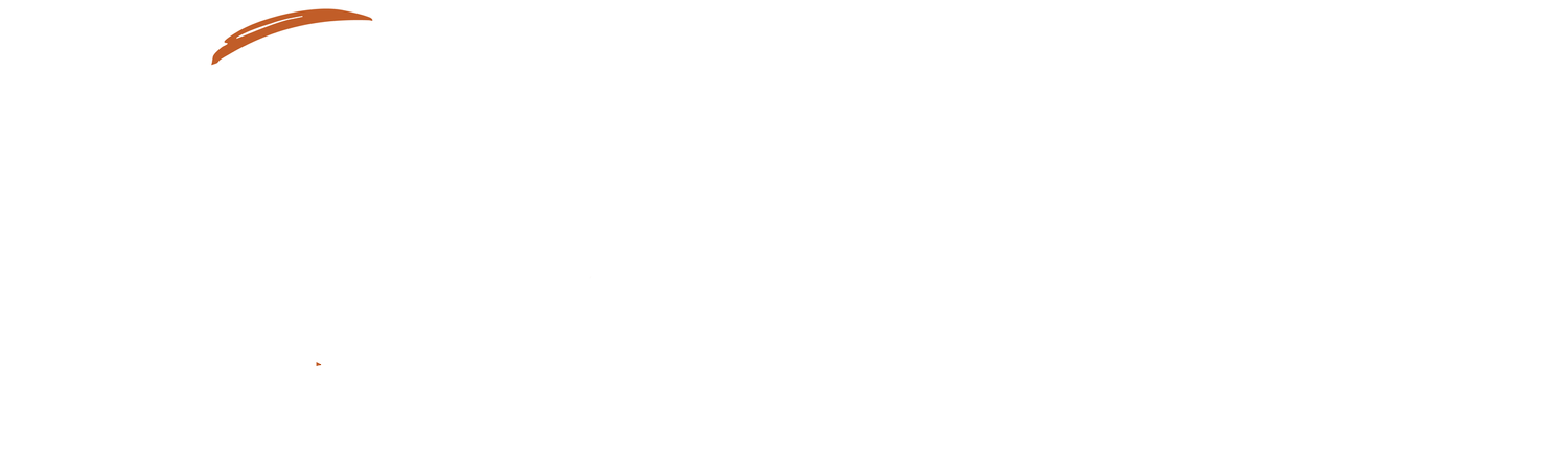 Susegårdens Skjutskola AB logotyp
