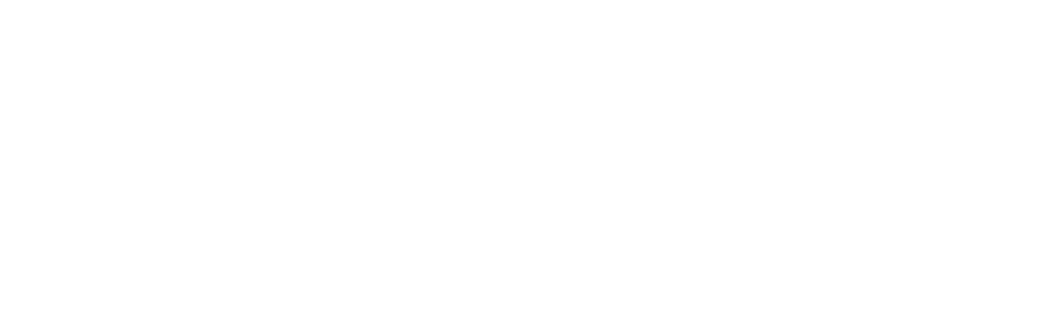 Naviro Consulting AB logotyp