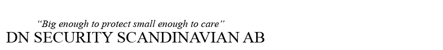 DN Security Scandinavian AB logotyp