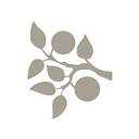 Brännland Iscider AB logotyp