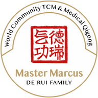 CESAMQ Concept of Educational Standards for Medical qigong AB logotyp