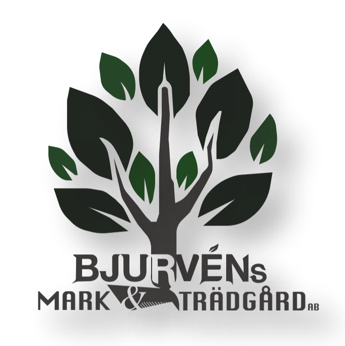 Bjurvéns Fastighet & Entreprenad AB logotyp