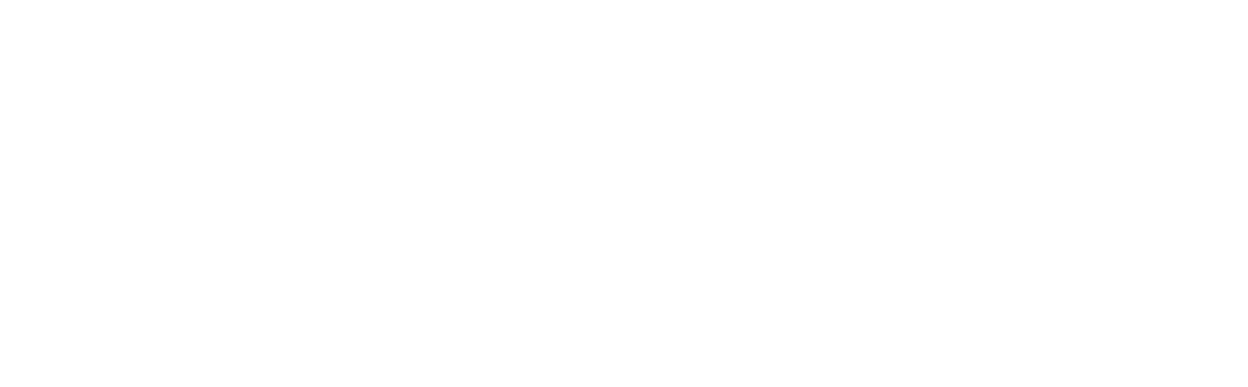 NSC Shop Concept AB logotyp