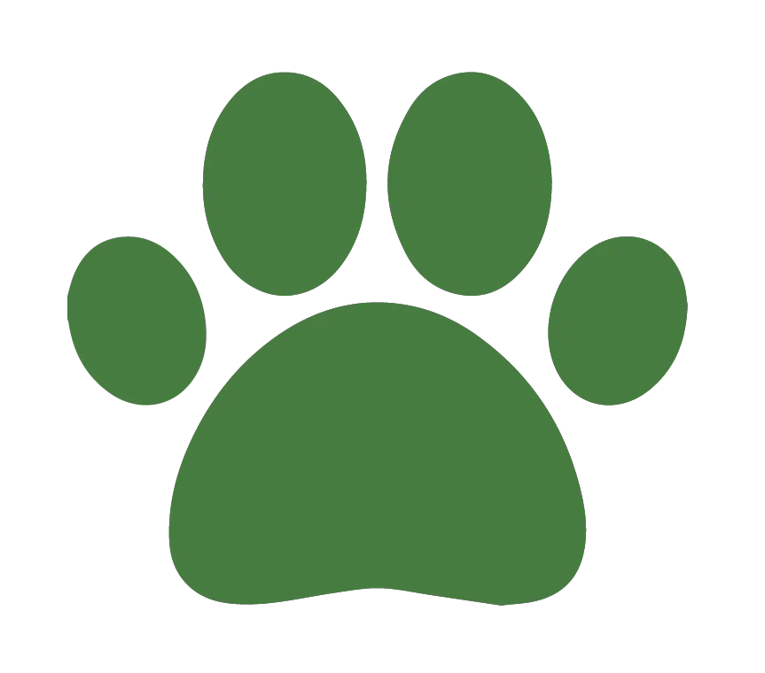 CityPet 200 AB logotyp