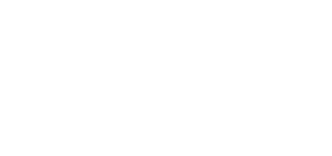 WLX WeLink Express AB logotyp