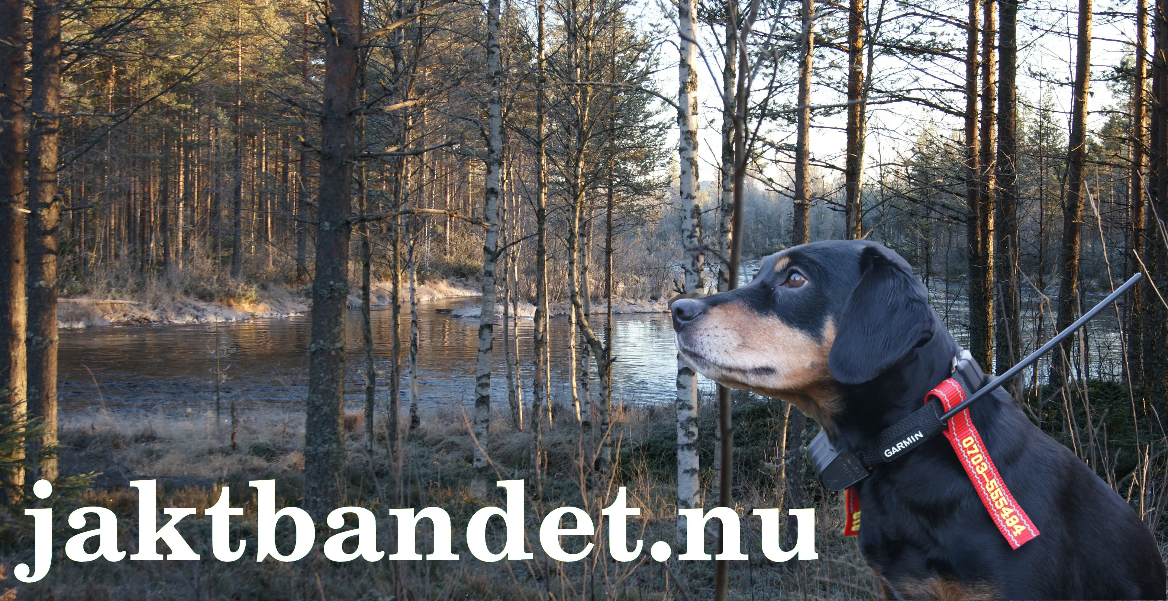Jaktbandet Aktiebolag logotyp