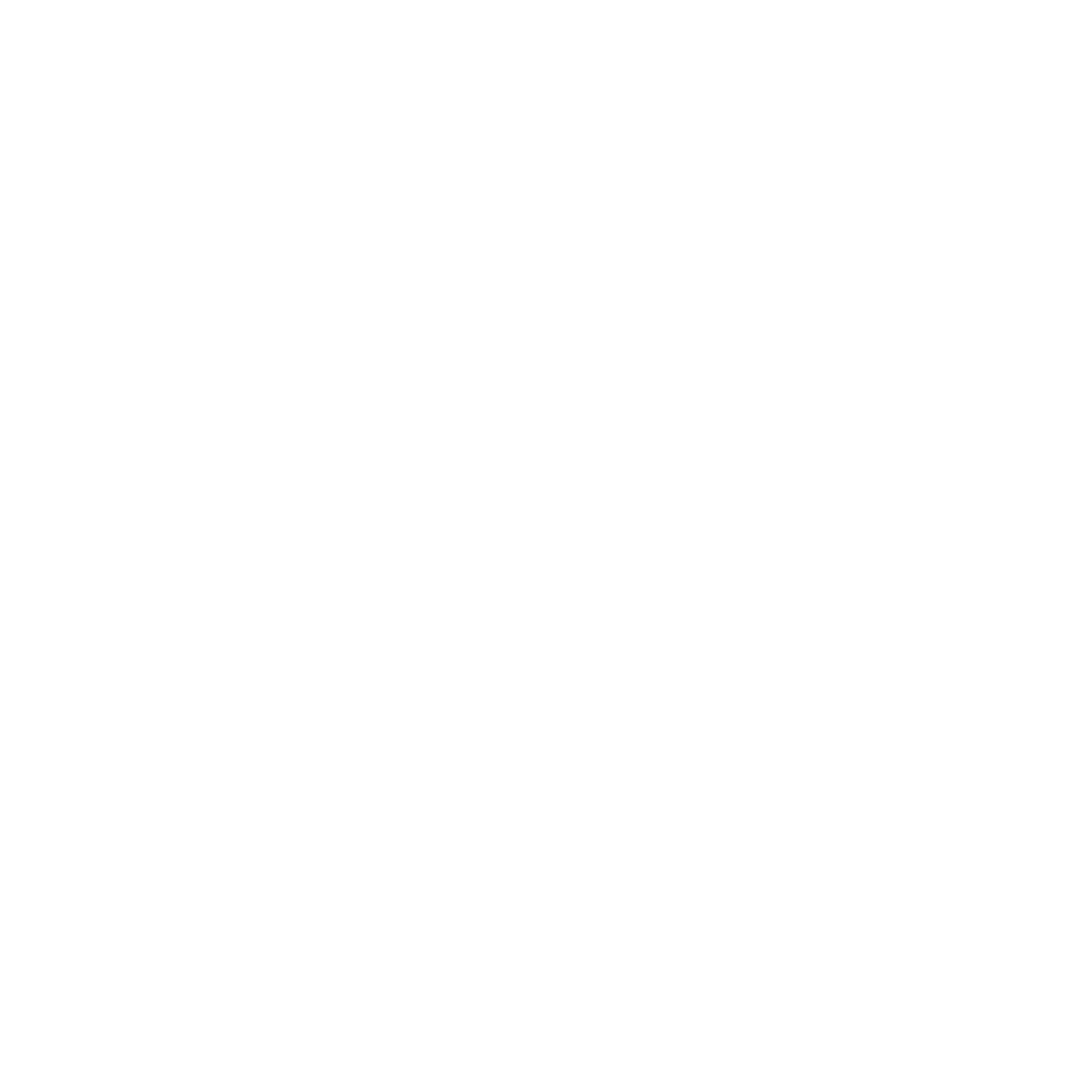 Studio nanok design AB logotyp