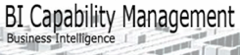 BI Capability Management AB logotyp