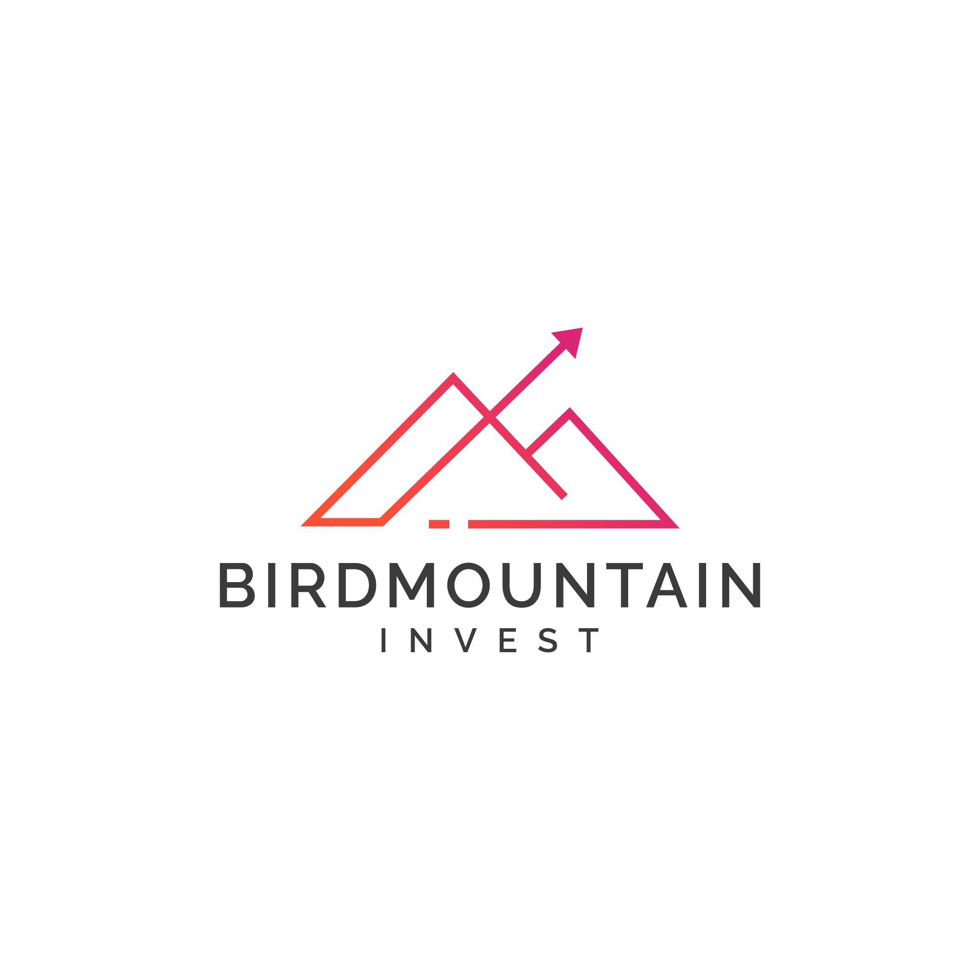 Birdmountain Invest AB logotyp