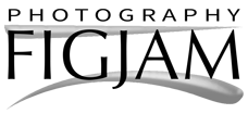 FIGJAM AB logotyp