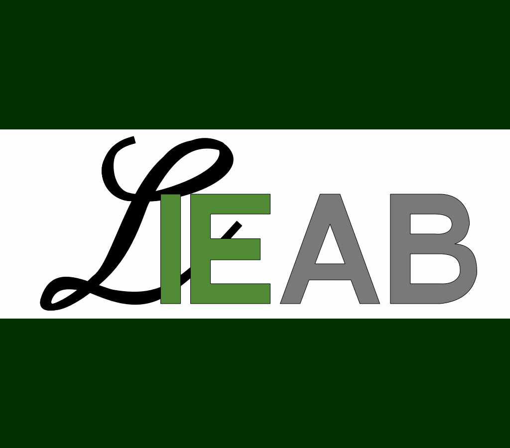 Lie Entreprenad AB logotyp
