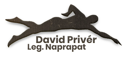 David Privér Citynaprapaten AB logotyp