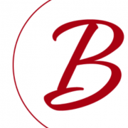 Bexus AB logotyp