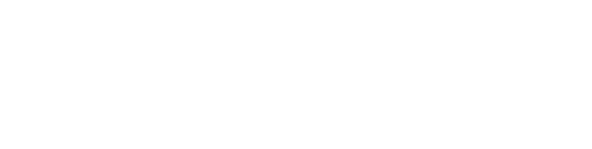 Forss IT AB logotyp
