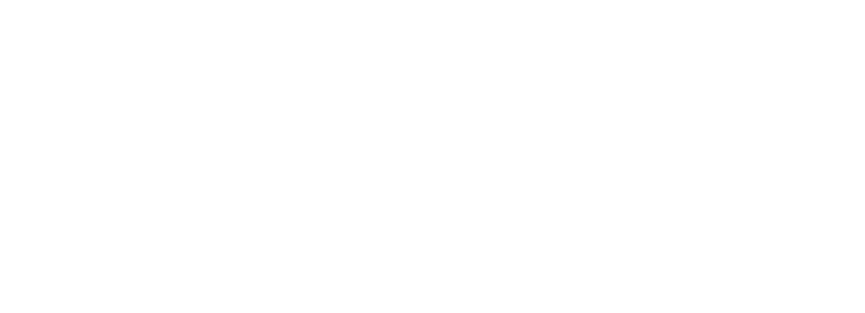 Nedre Gatan AB logotyp